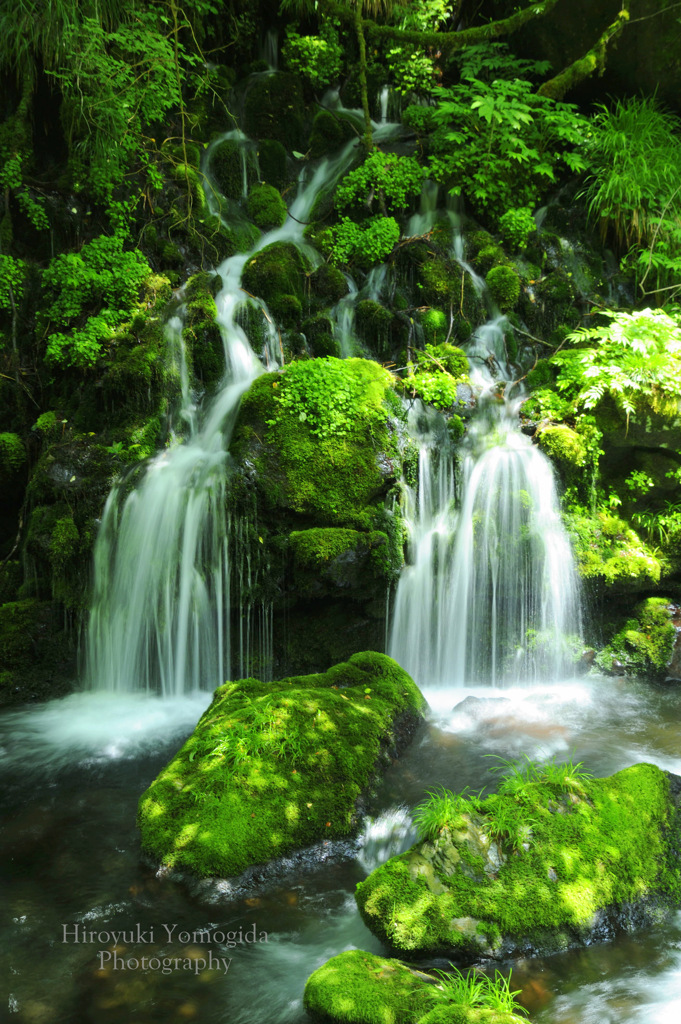 Beautiful green...