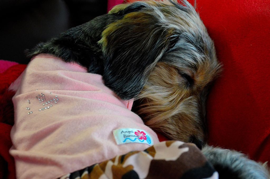 I am sleepy...