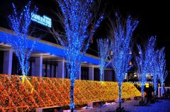 illumination in NAKAICHI