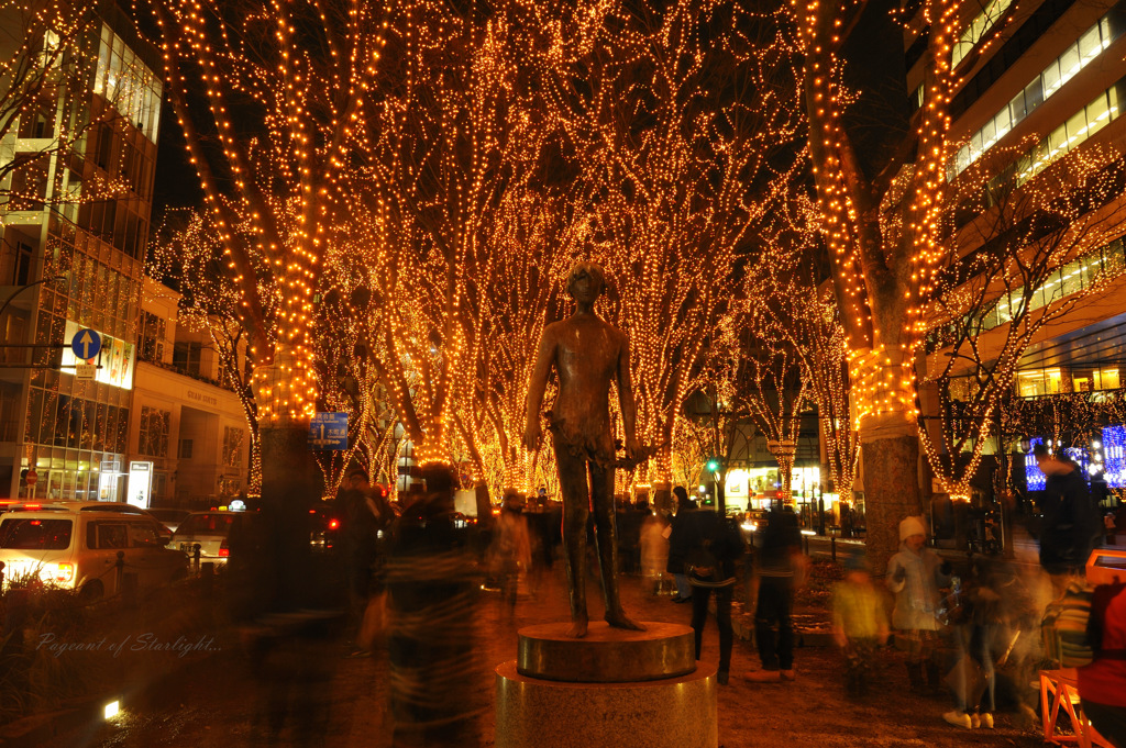 Pageant of Starlight...