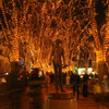 Pageant of Starlight...