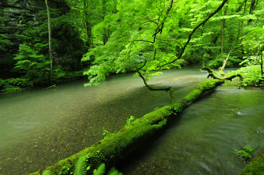 Gentle clear stream...