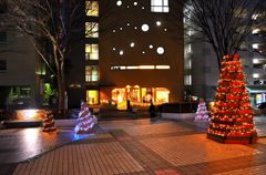 Illuminations of a street corner 