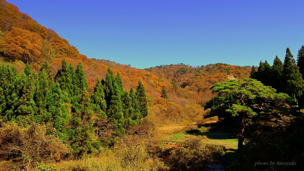 Autumn that does not end. . .