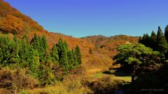 Autumn that does not end. . .