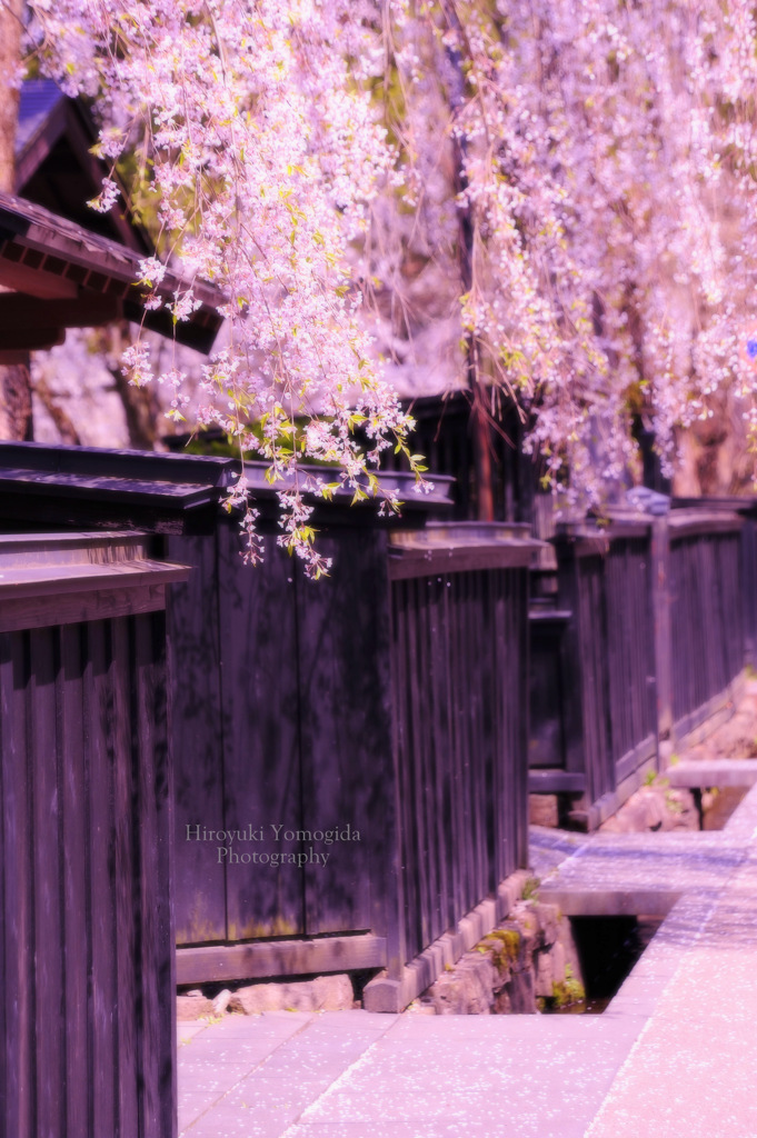 Samurai heart...