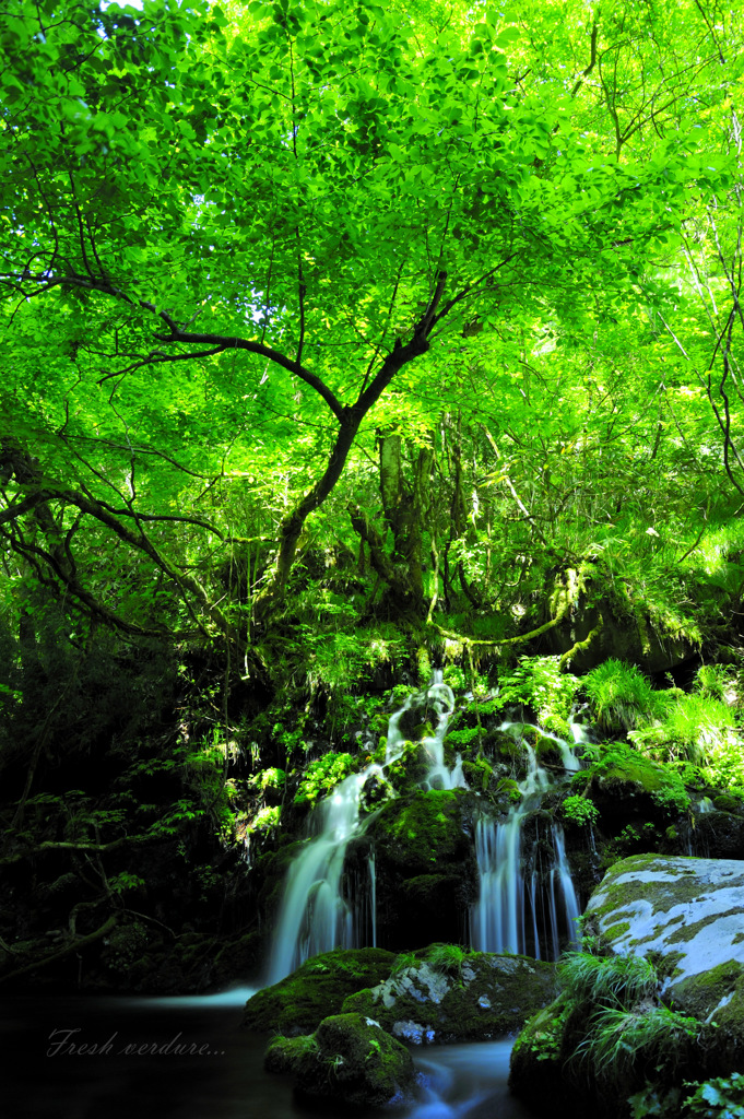 Fresh verdure...