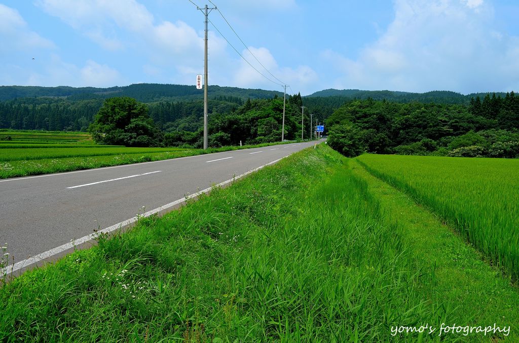 田んぼを突き抜けて