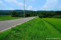 田んぼを突き抜けて