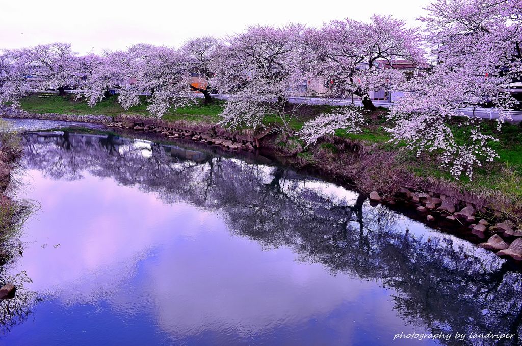 Mirror of the surface of a river