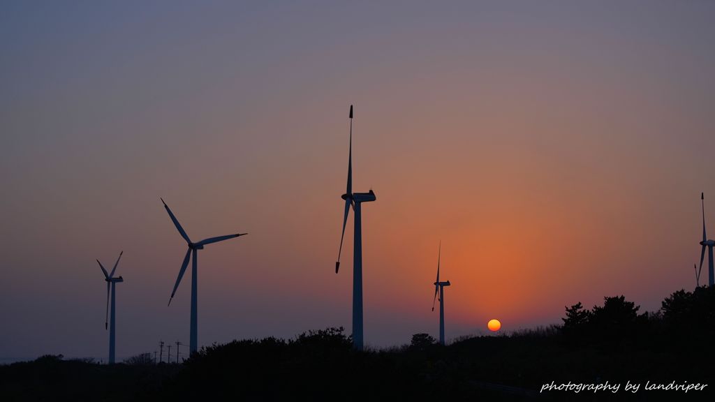 Among windmills