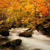 Oirase River...