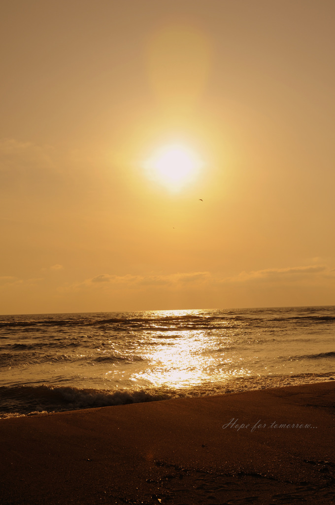 Hope for tomorrow...