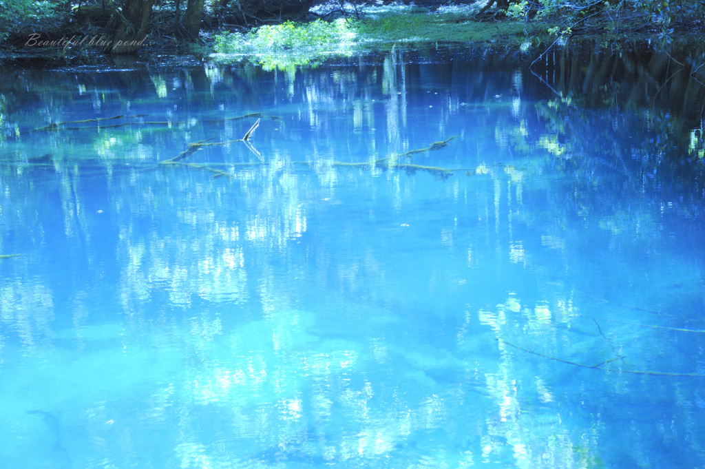 Beautiful blue pond...