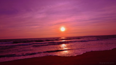 Keep up your spirits! ﻿