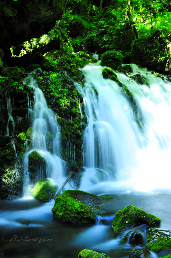 Brilliant green...