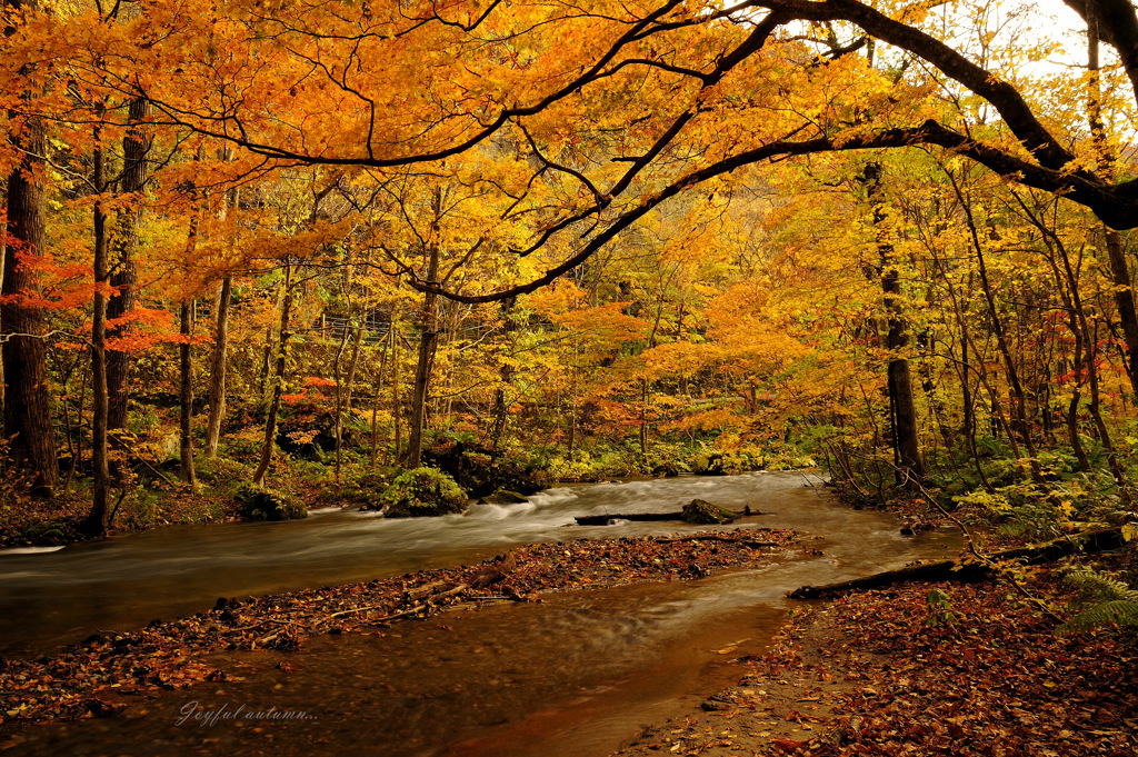 Joyful autumn...