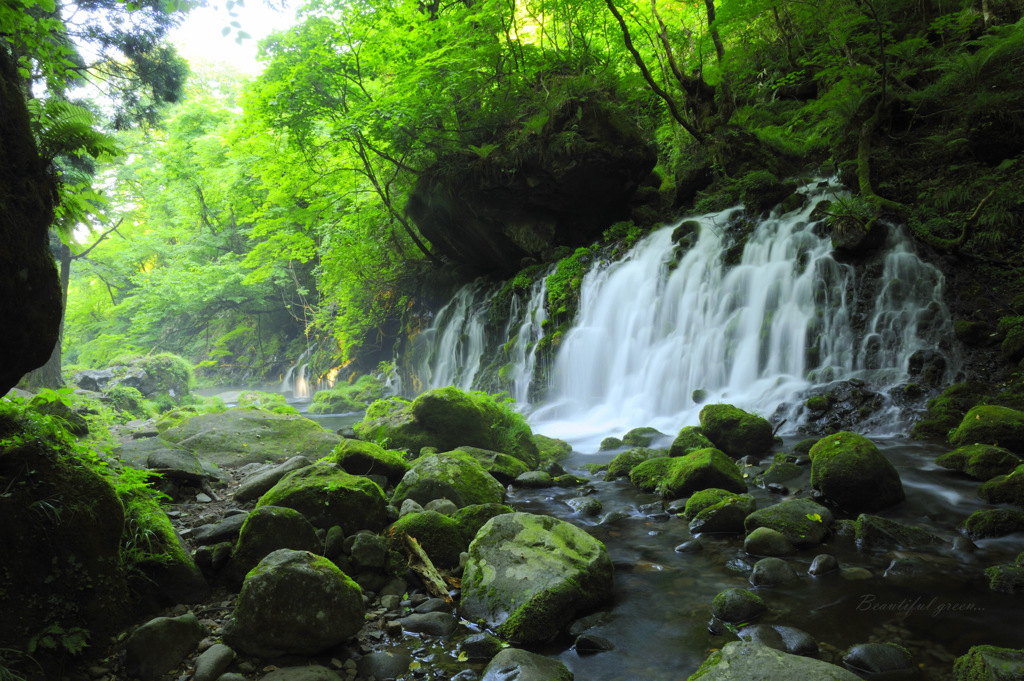 Beautiful green...