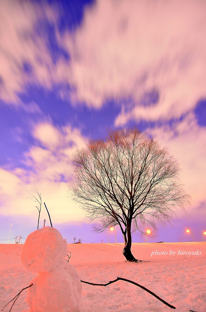 Night sky of winter