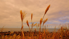 Autumn sea...