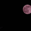 pink moon...