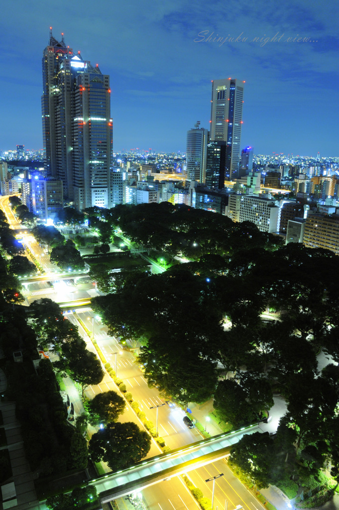 Shinjuku night view...