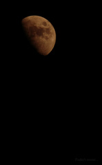 Today's moon...