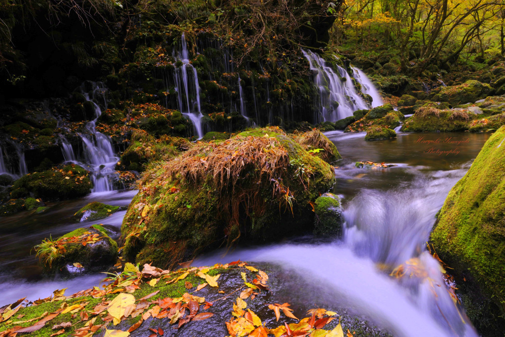 The arts of autumn...