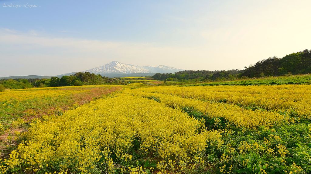 Landscape of japan...