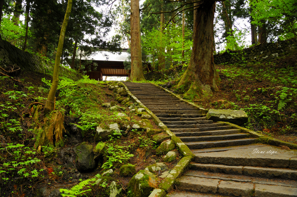 Stone steps ...