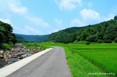 清流と田園