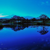 Blue reflection...