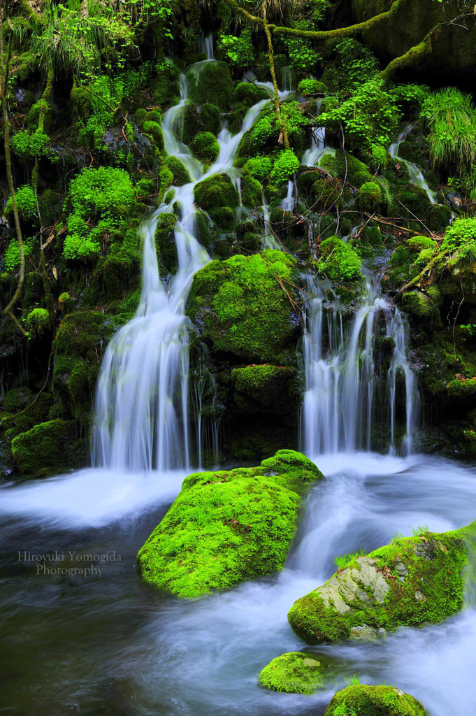 Green glow...