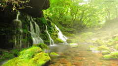 Green paradise...