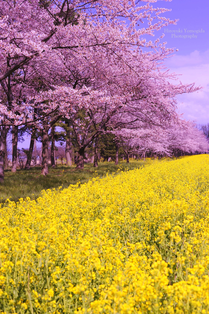 Spring glow...