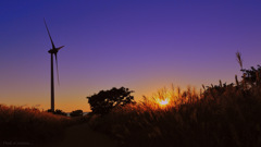 dusk of autumn...