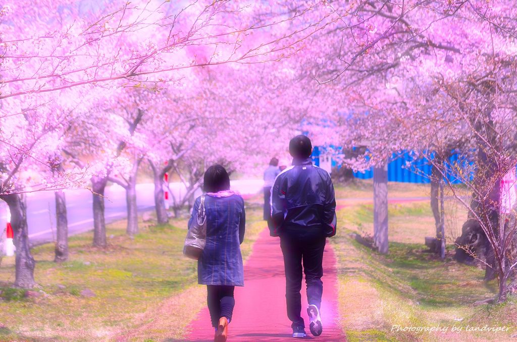 I want to return on that day