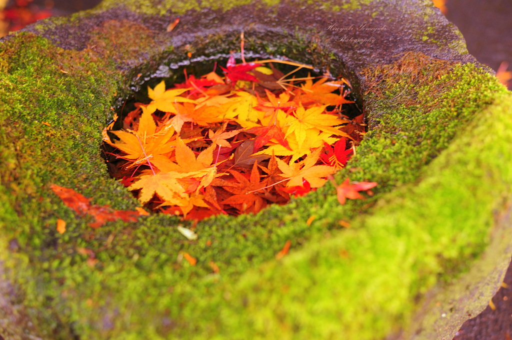 Autumn jewelry box...