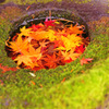 Autumn jewelry box...