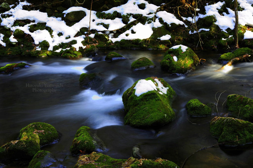 Signs of spring...