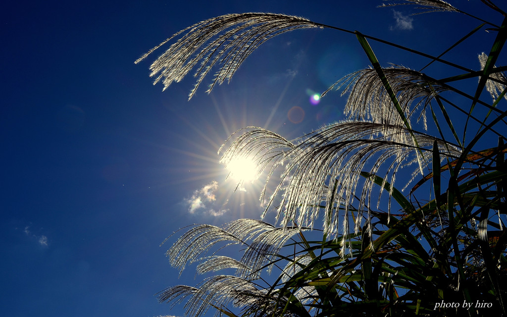 Under the clear autumn sky ...