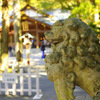 Shrine guardian dog statues...