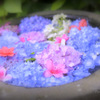 Hydrangea jewelry box...