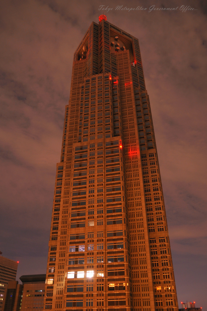 Tokyo Metropolitan Government Office...﻿