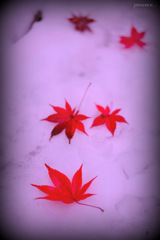 presence...﻿