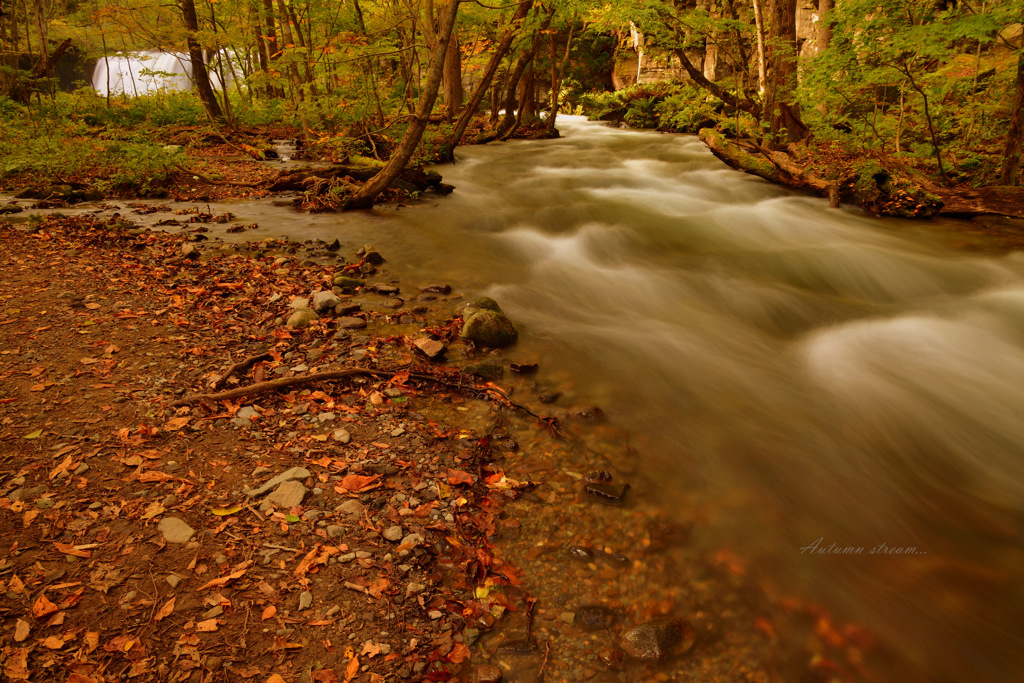 Autumn stream...