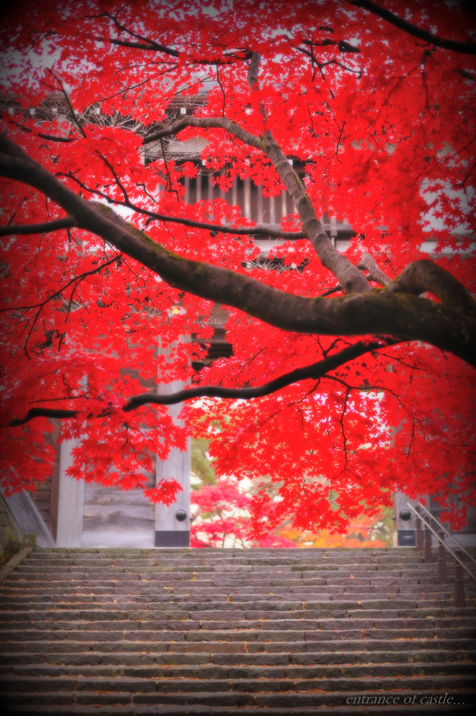 entrance of castle...