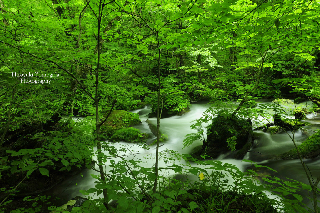 Wrapped in green...