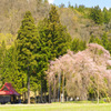 Pastoral landscape...