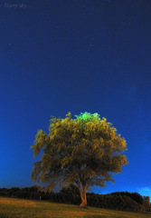 Starry sky...